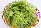 五(wǔ)指(zhǐ)山野菜